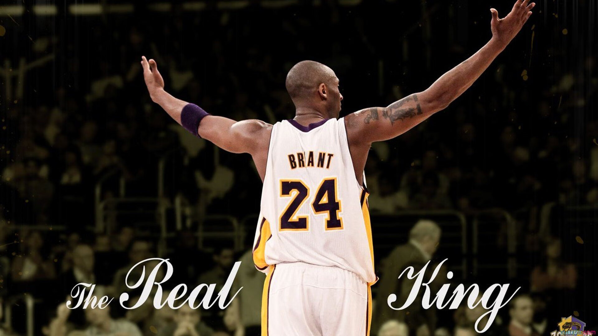 NBA球员赛季投篮趋势,nba球员投篮高清图